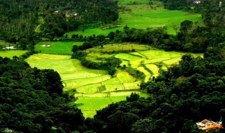 Coorg -Tourism